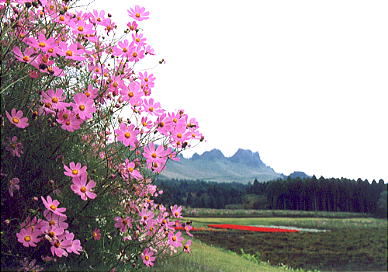 �R�X���X�ƍ��q�x