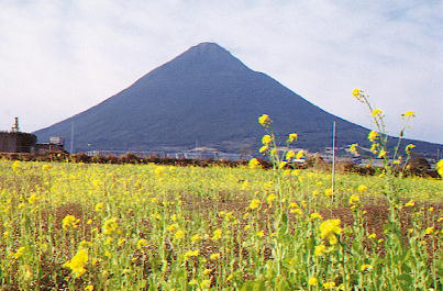 �F���x�m�i�J���x�j