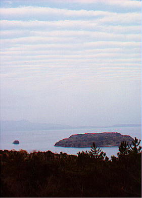 �э]�p�ɕ����Ԓm�у���