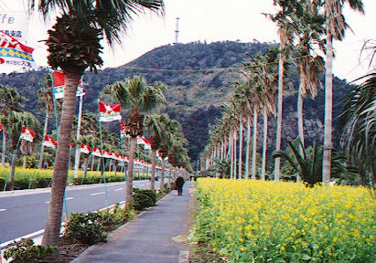 �؂̉ԃ}���\���r�N�g���[���[�h