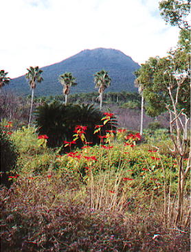 �|�C���Z�`�A�ƊJ���x