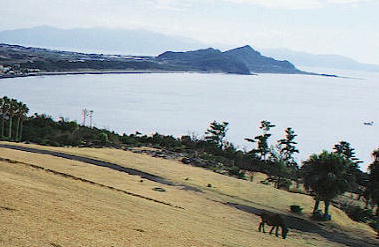 �J���R�[���R����