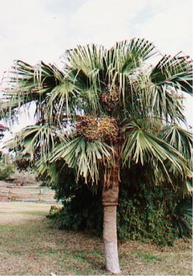 �����V�H